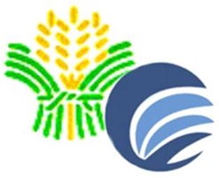 Institution Logo