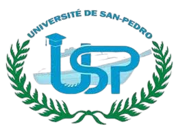 Institution Logo