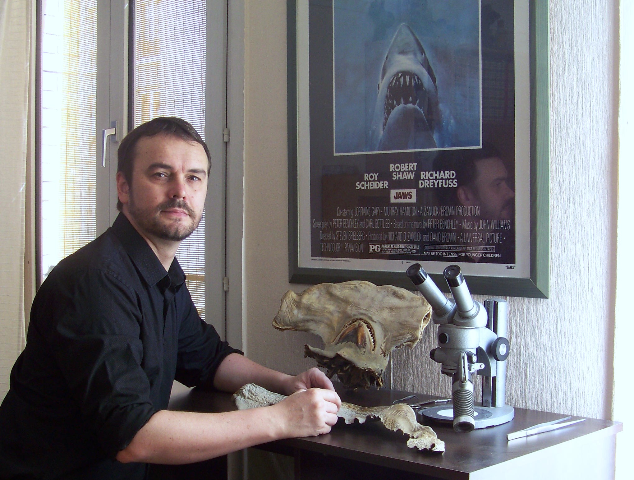 User profile picture