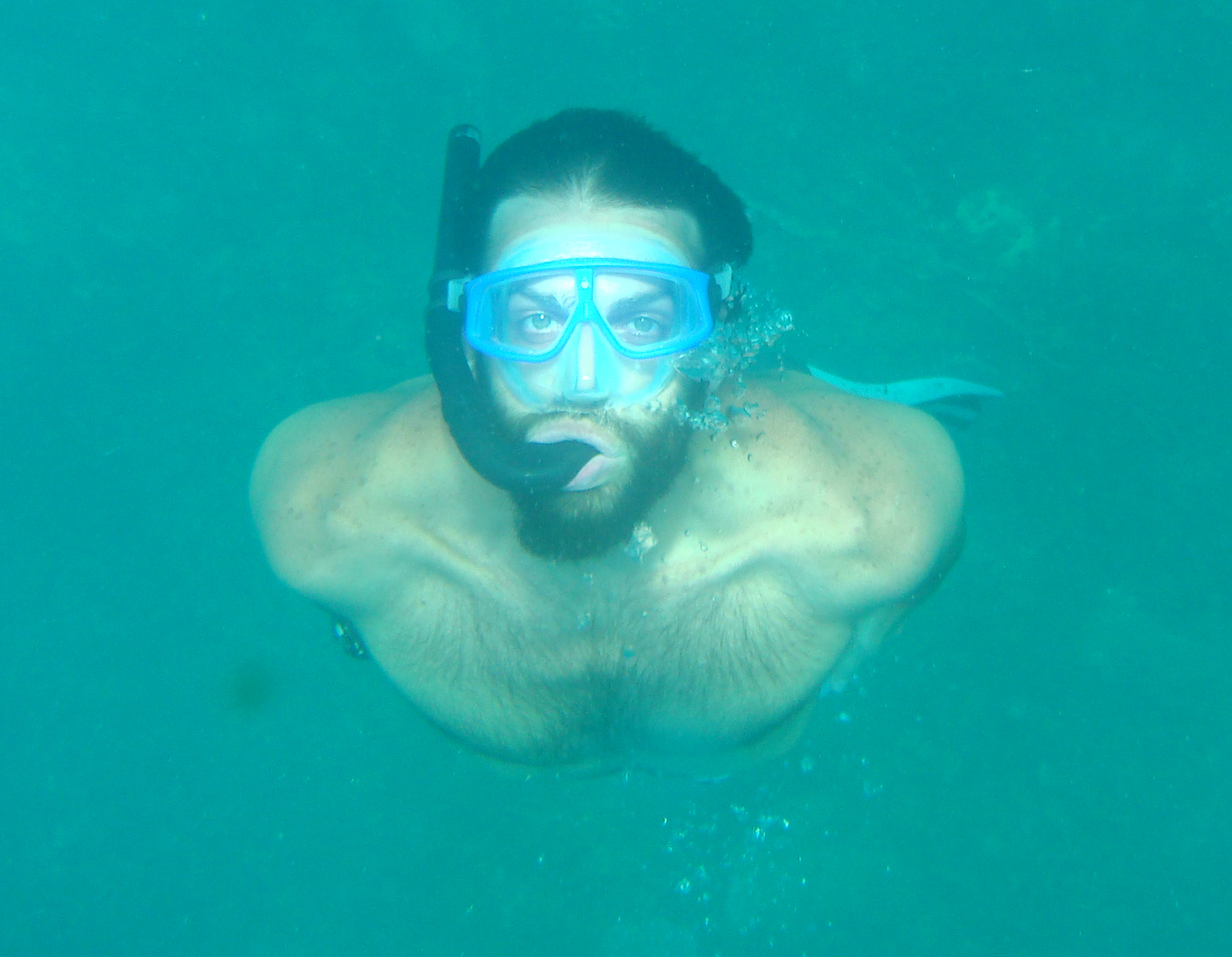 User profile picture