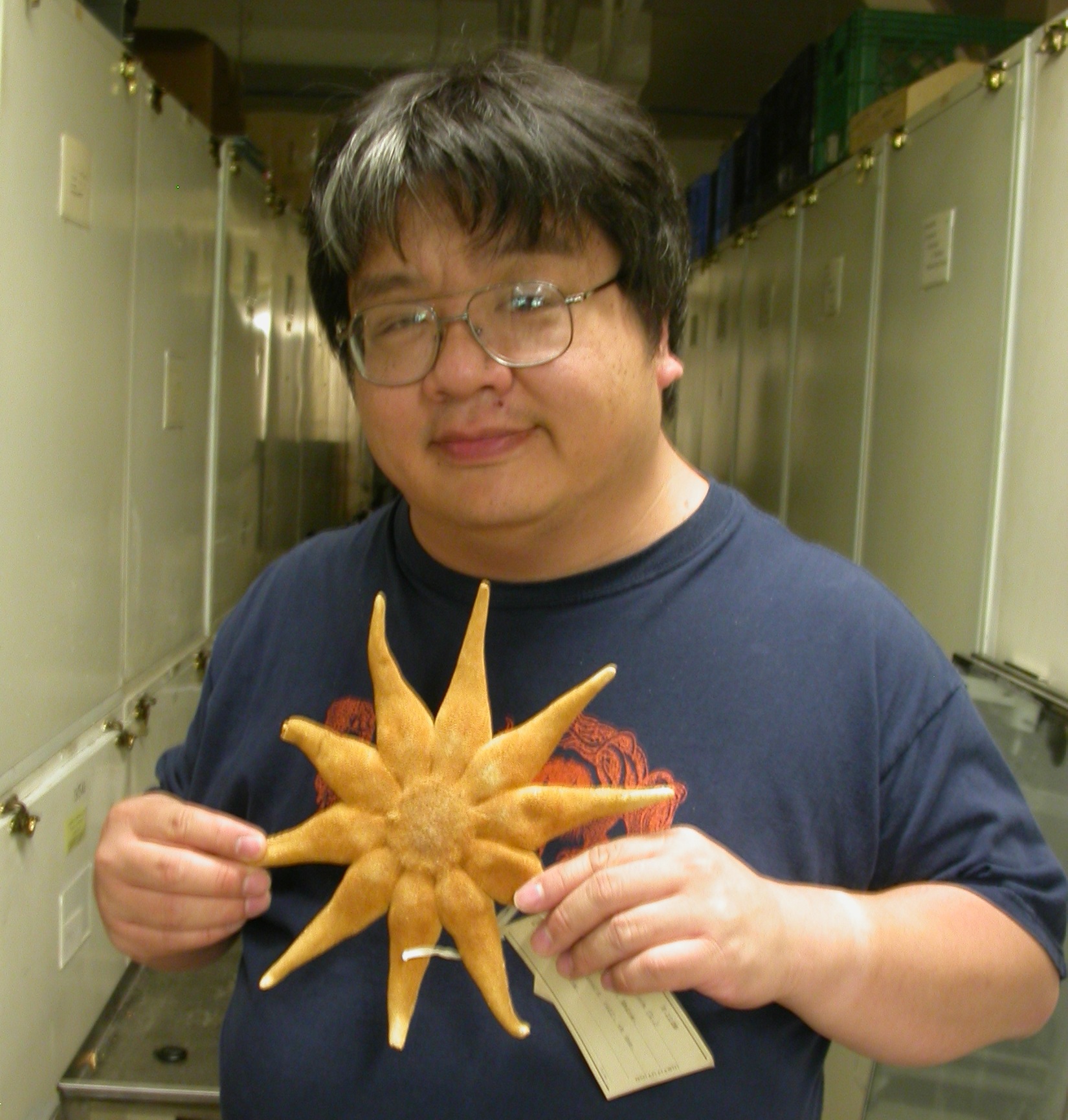 User profile picture