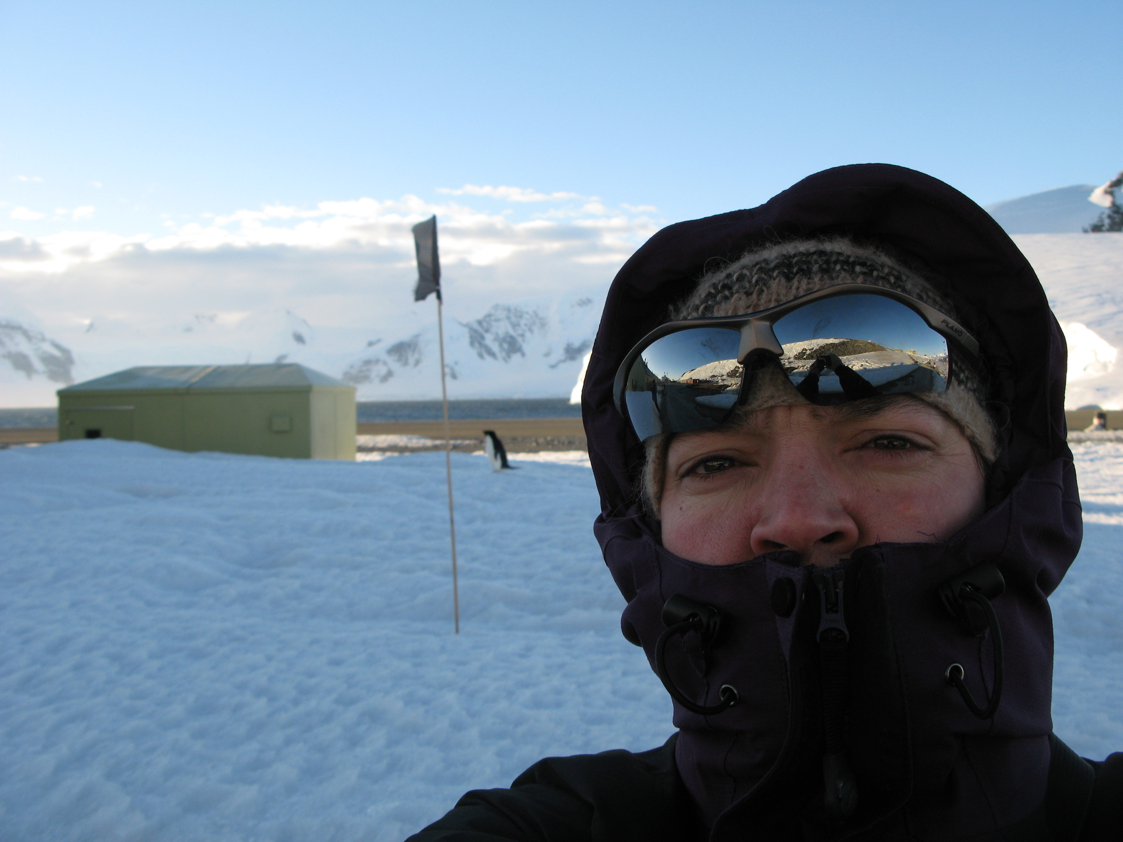 User profile picture