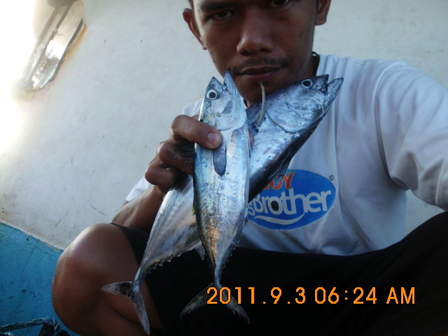 User profile picture