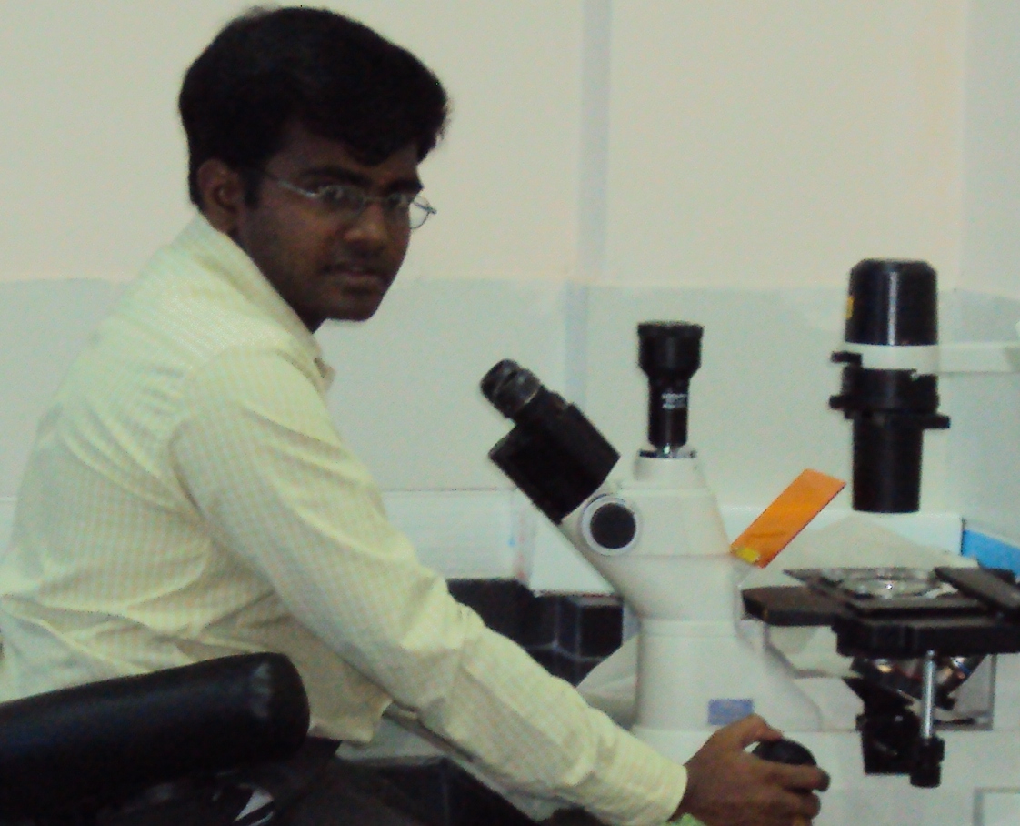 User profile picture