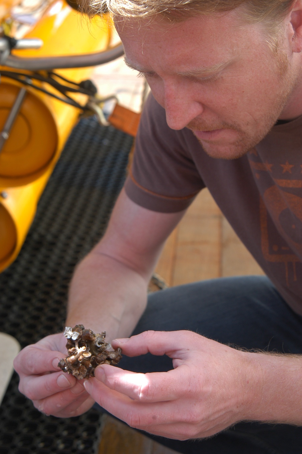 User profile picture