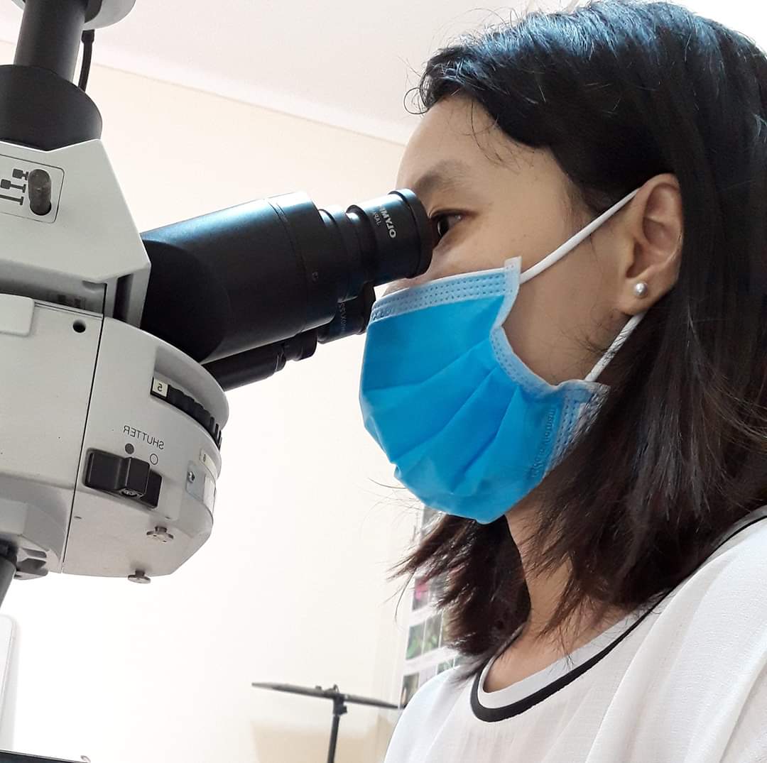 User profile picture