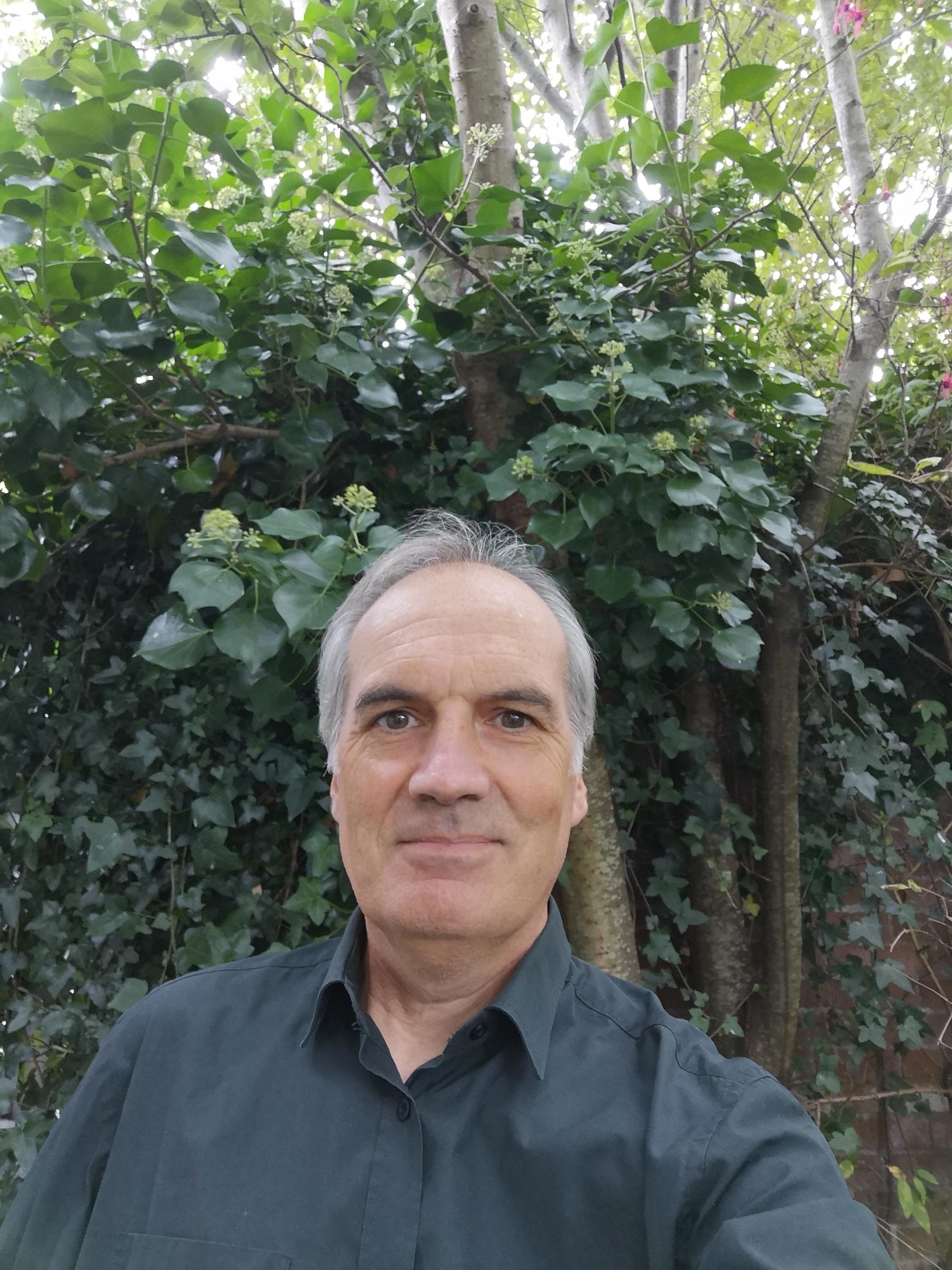 User profile picture