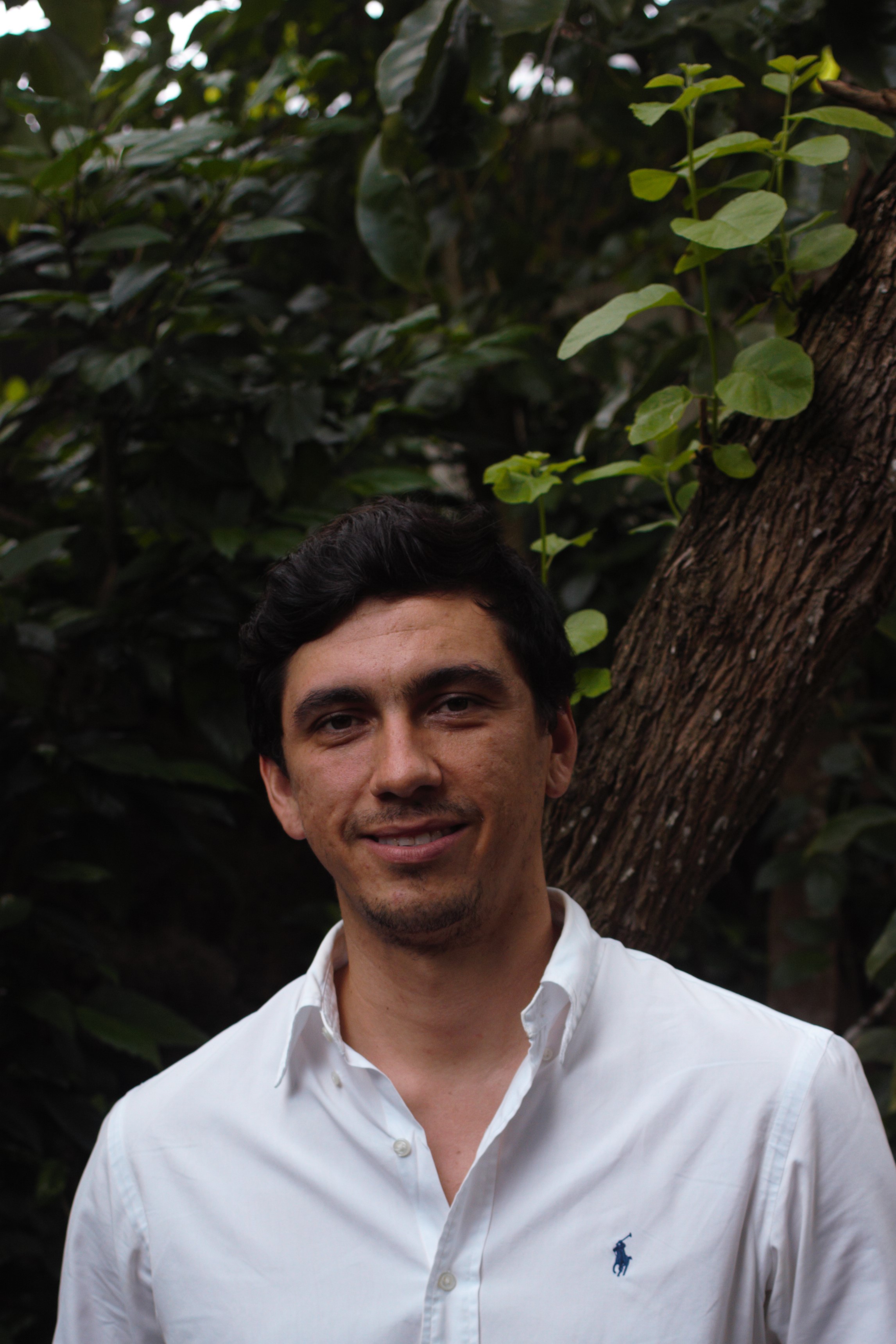 User profile picture