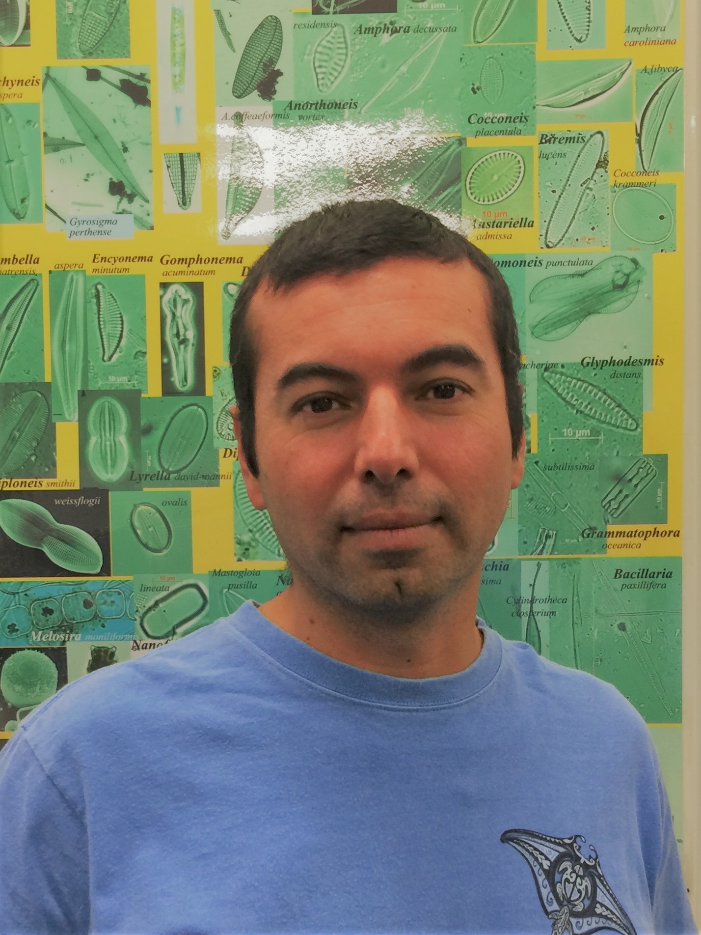 User profile picture