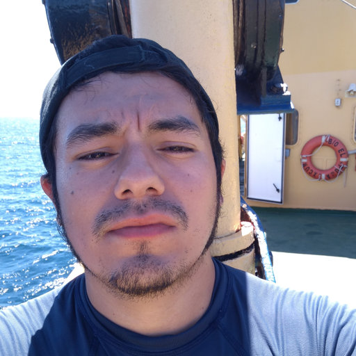 User profile picture