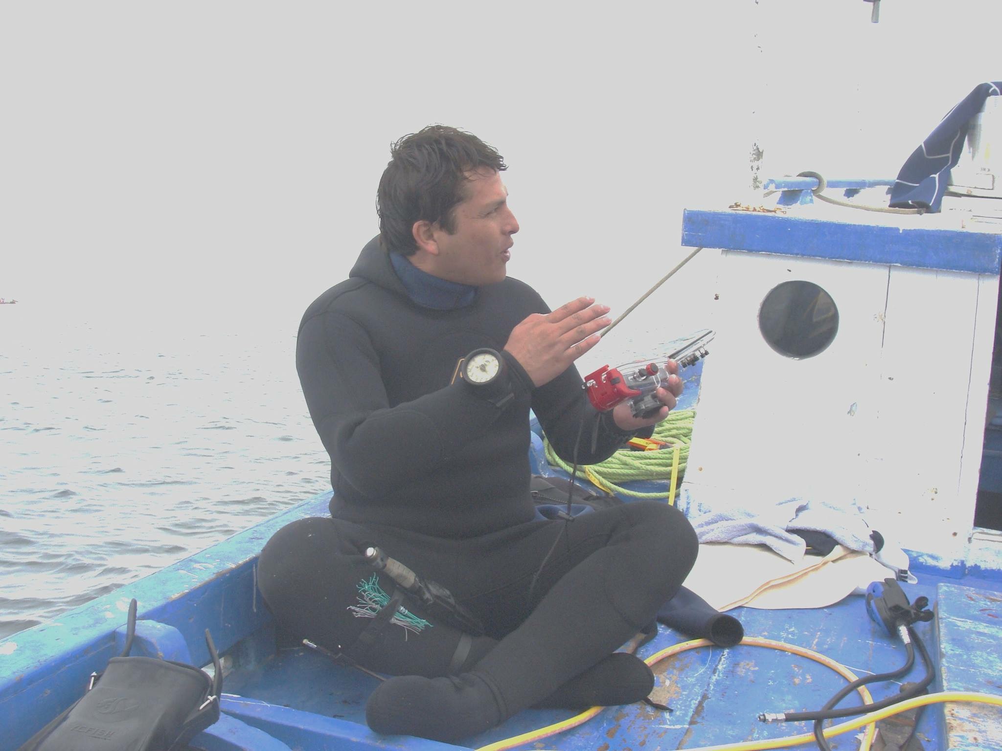 User profile picture