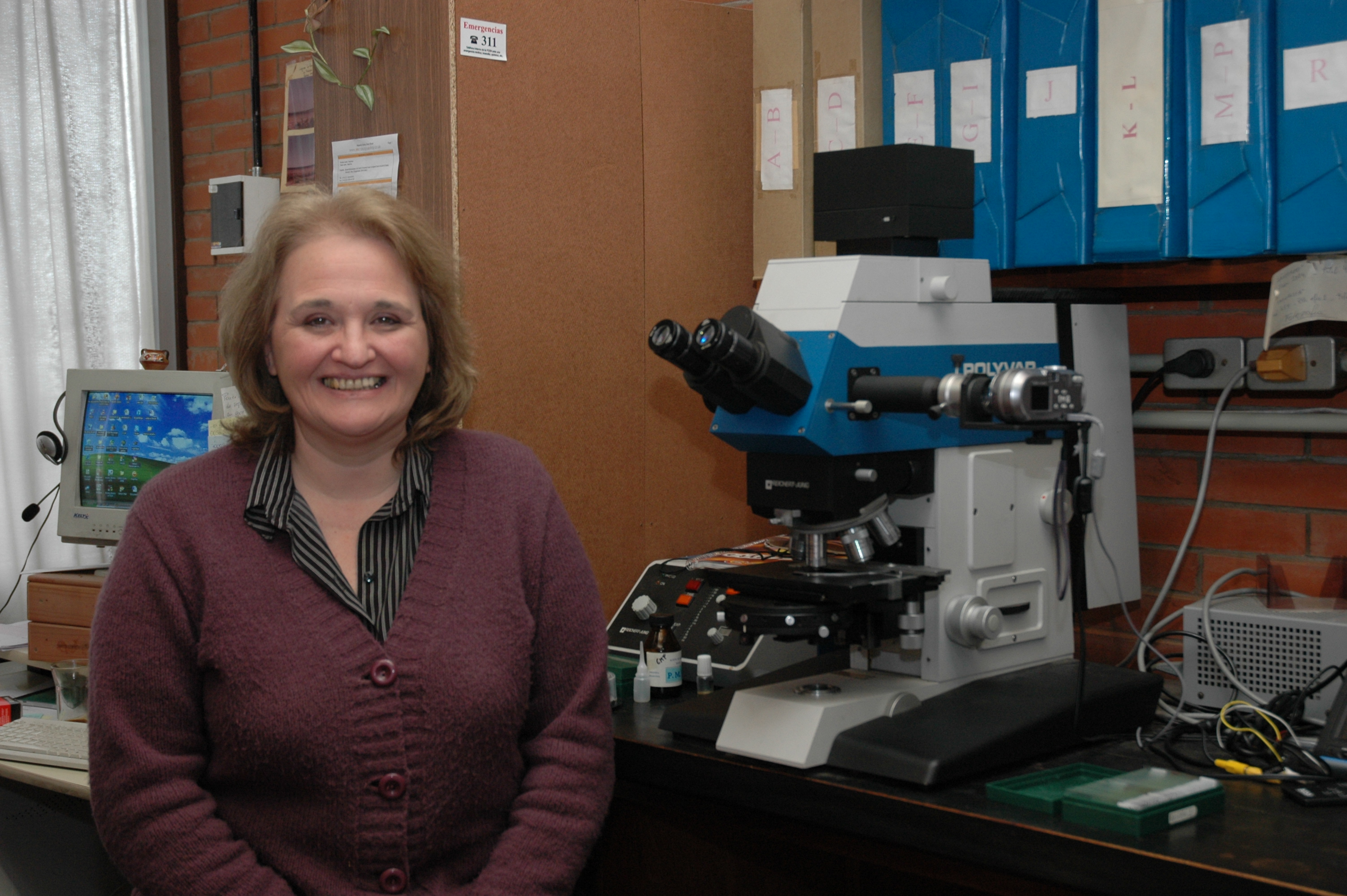 User profile picture