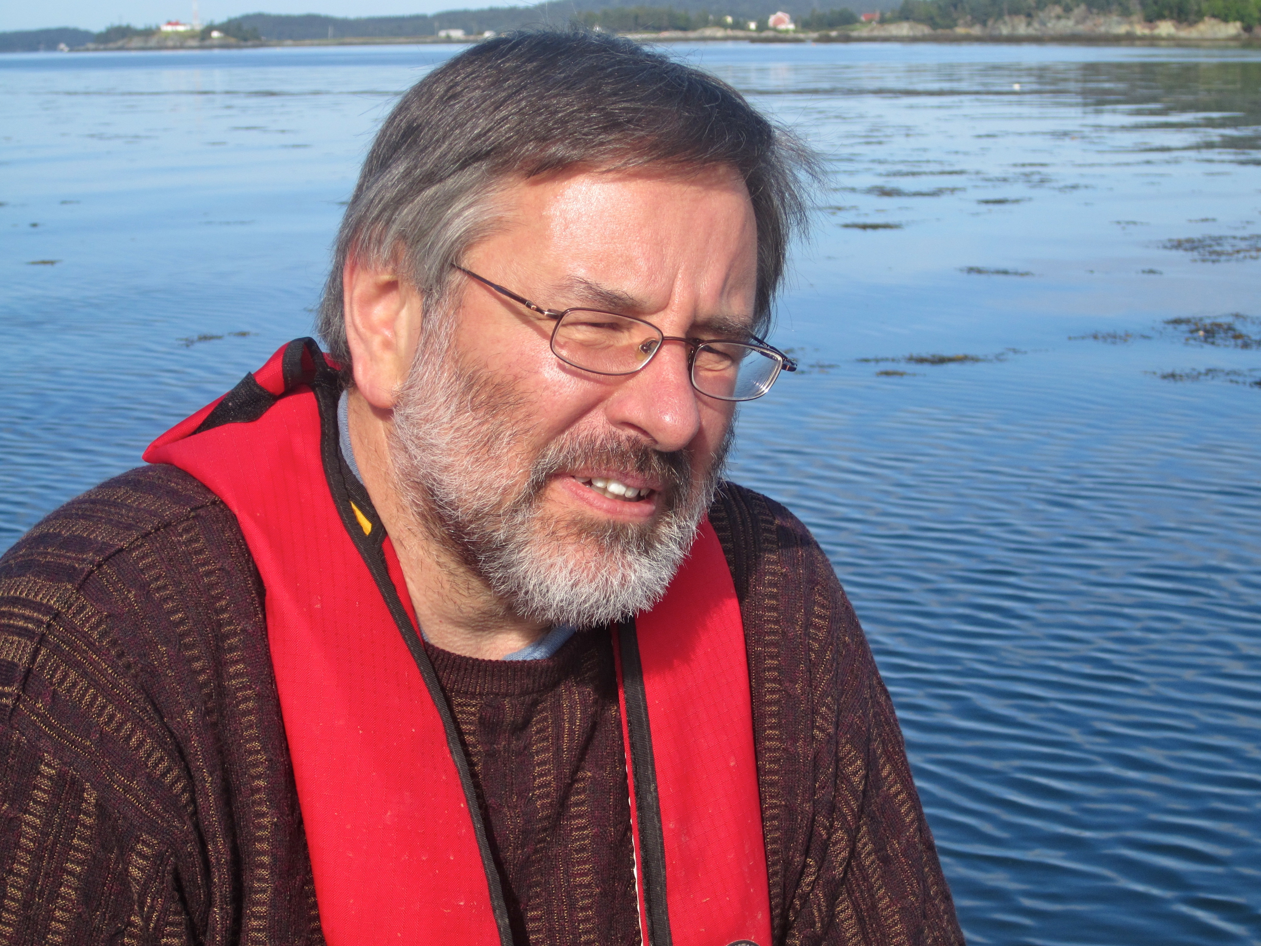 User profile picture