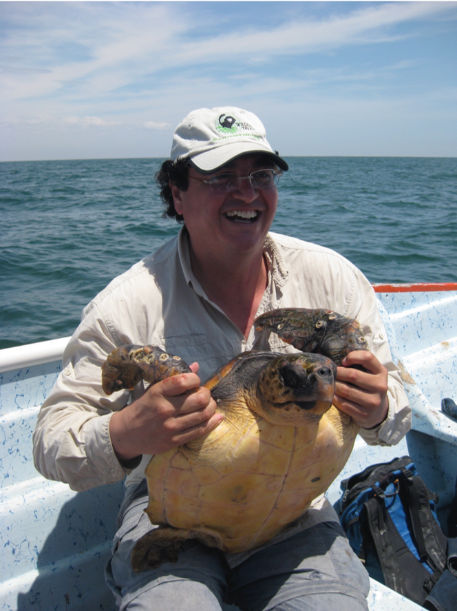 User profile picture