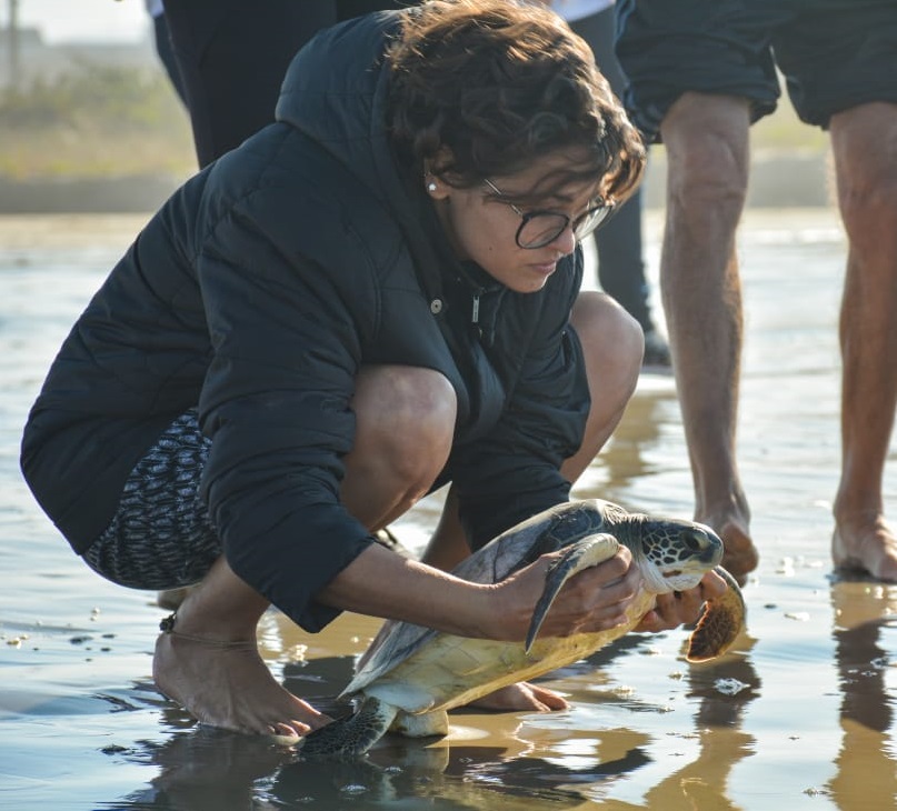 User profile picture