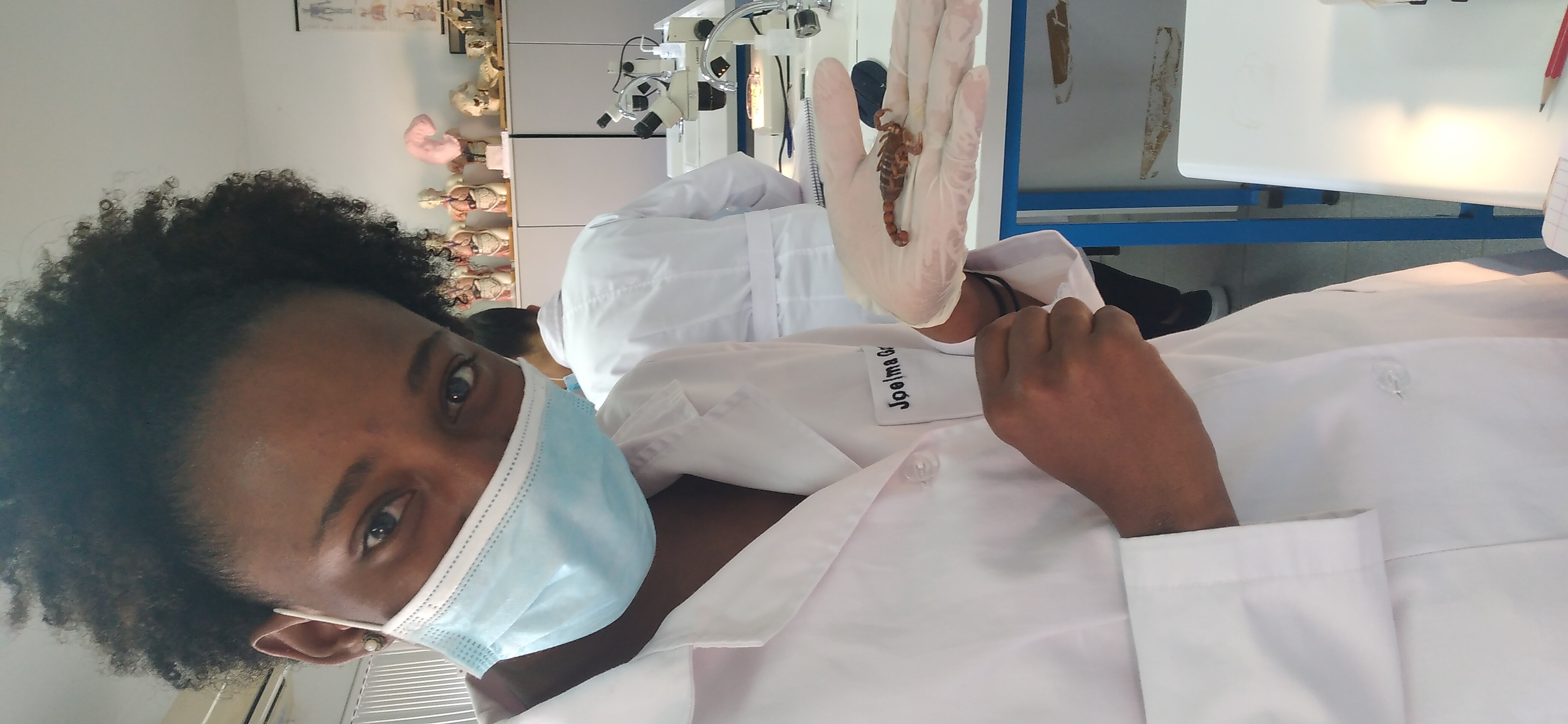 User profile picture