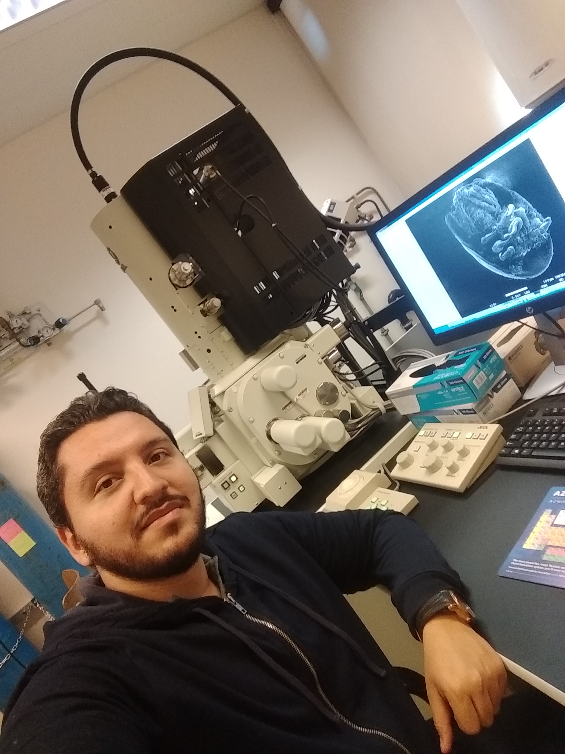 User profile picture