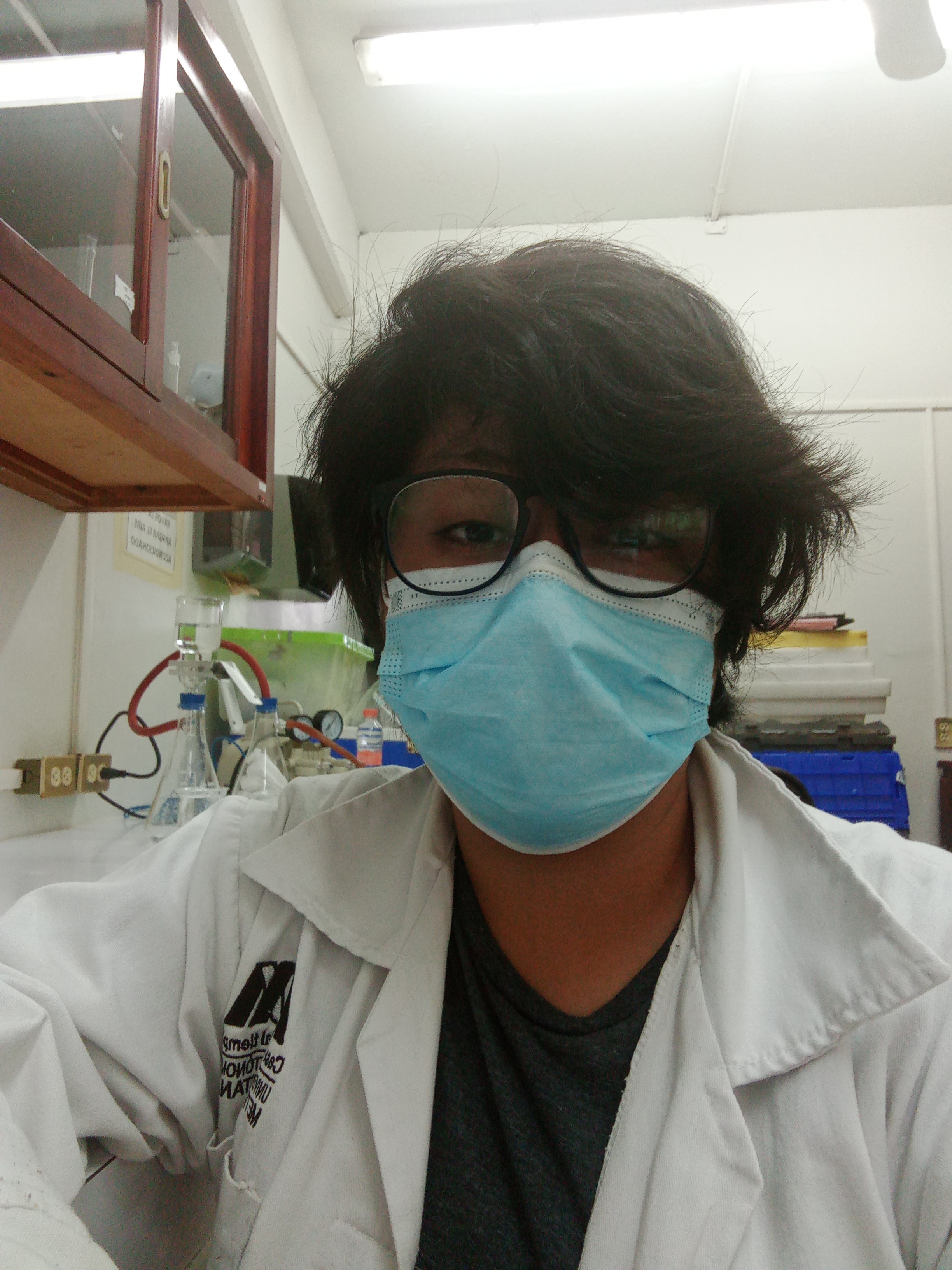 User profile picture