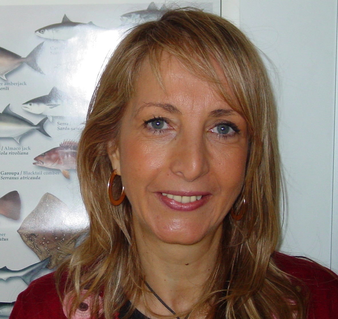 User profile picture