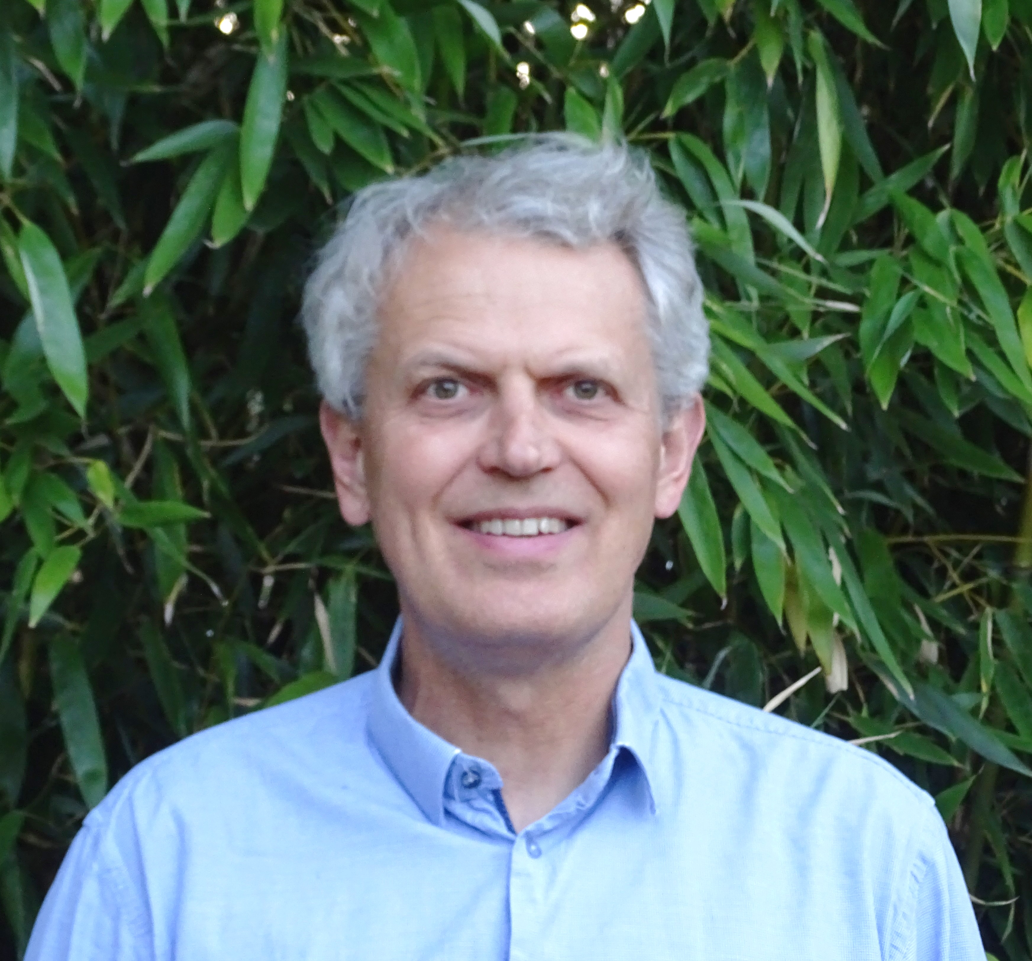 User profile picture