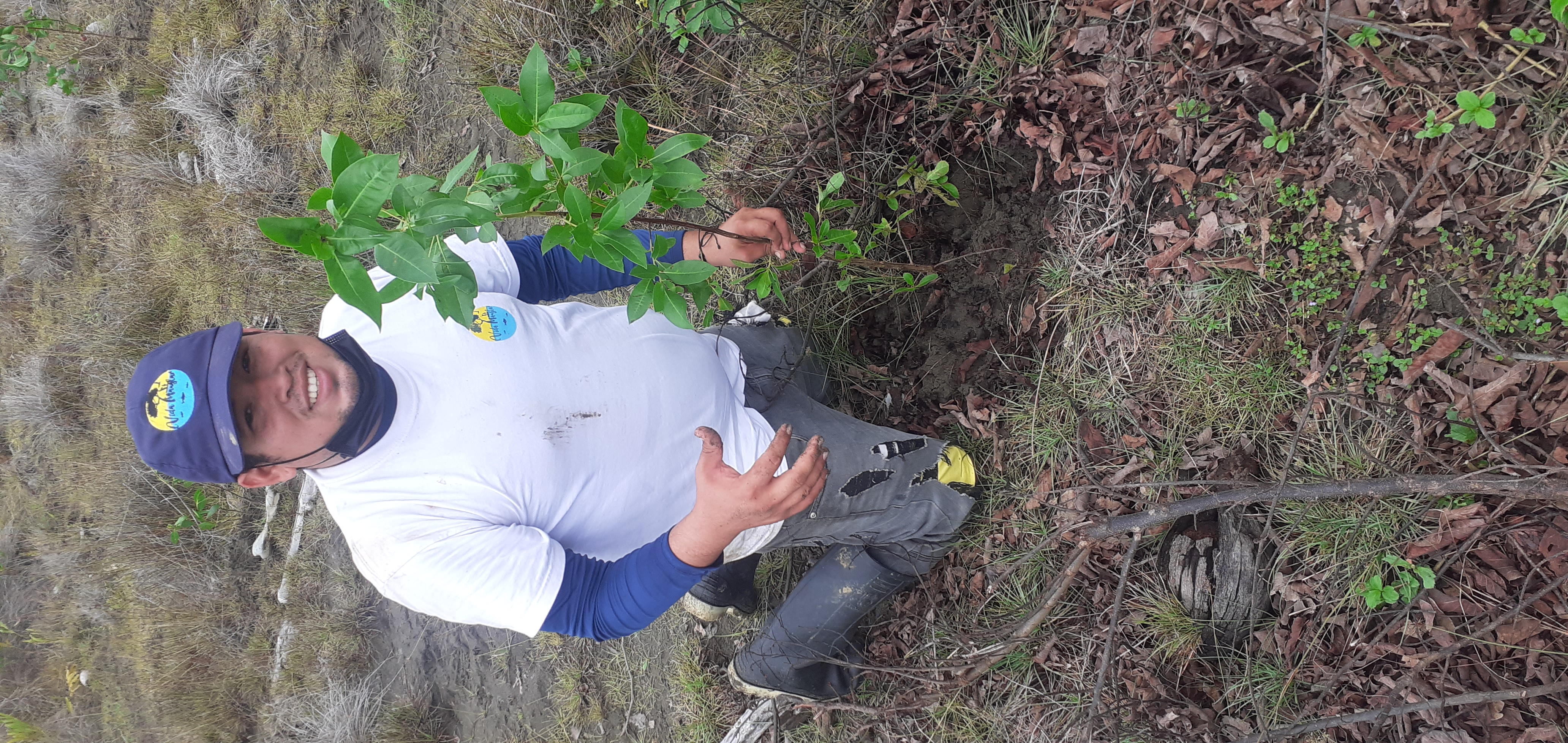 User profile picture