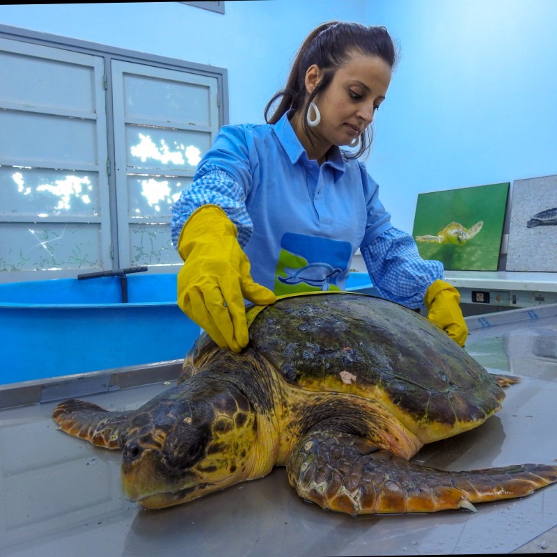 User profile picture