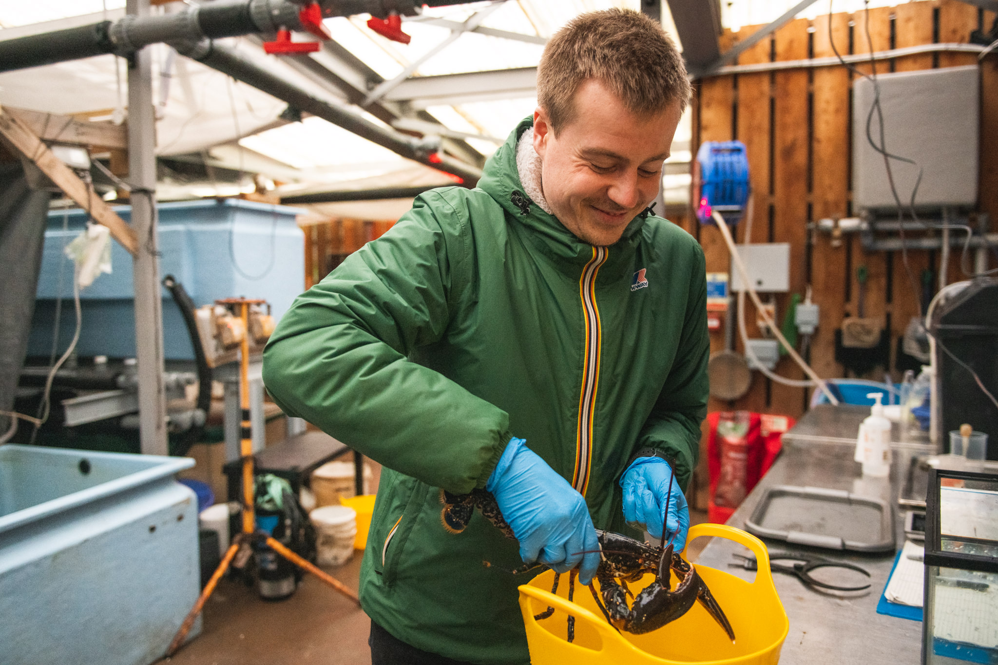 User profile picture