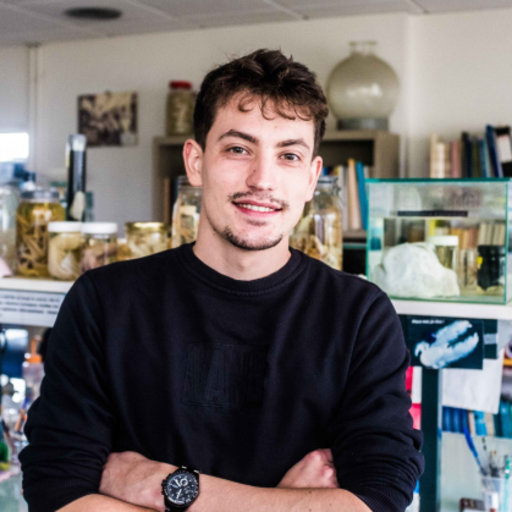 User profile picture