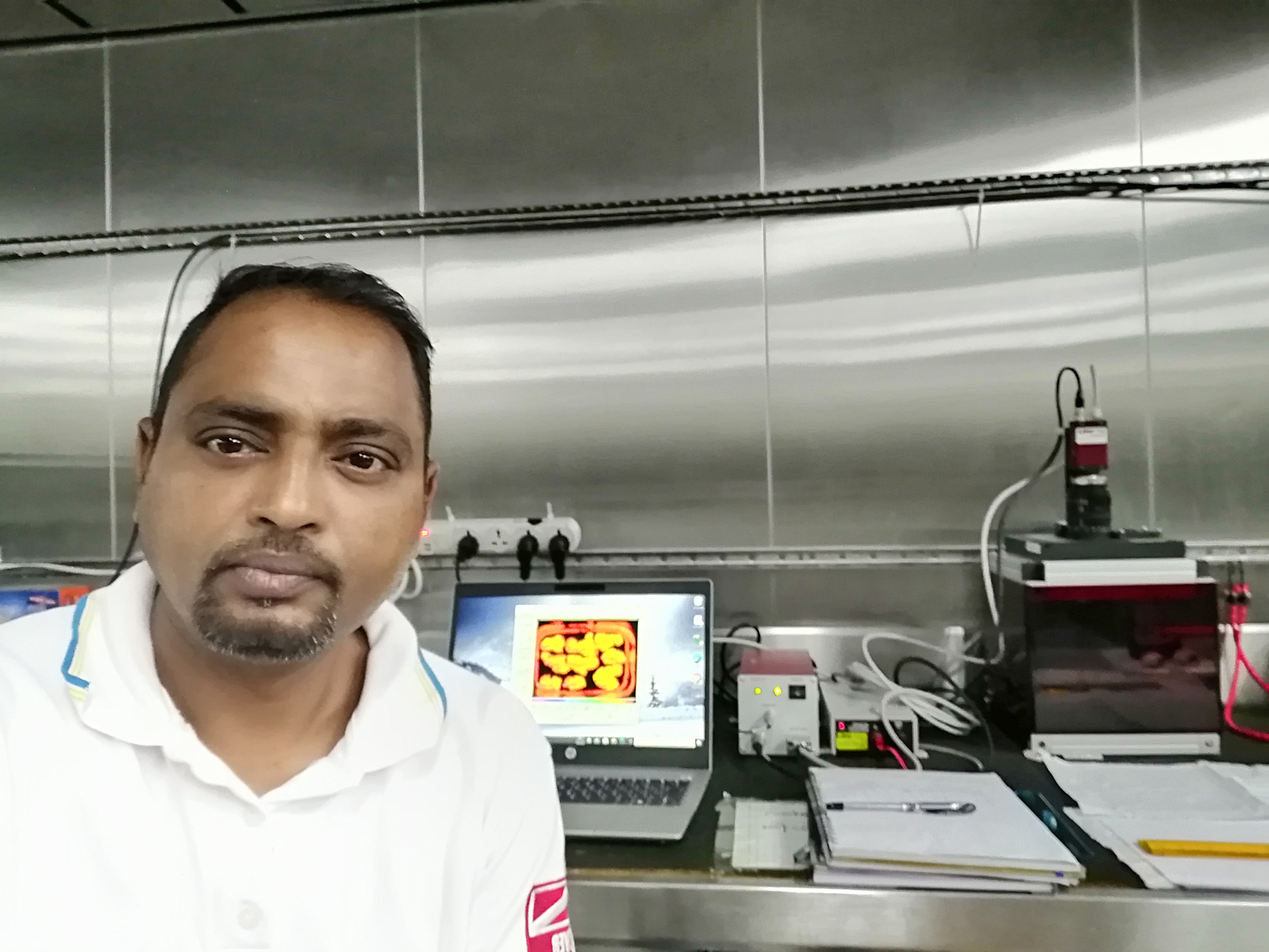 User profile picture