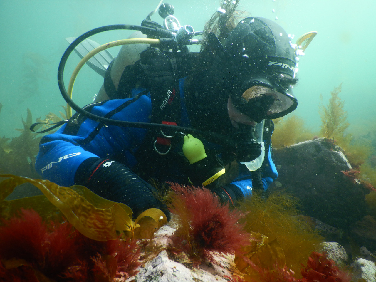 User profile picture