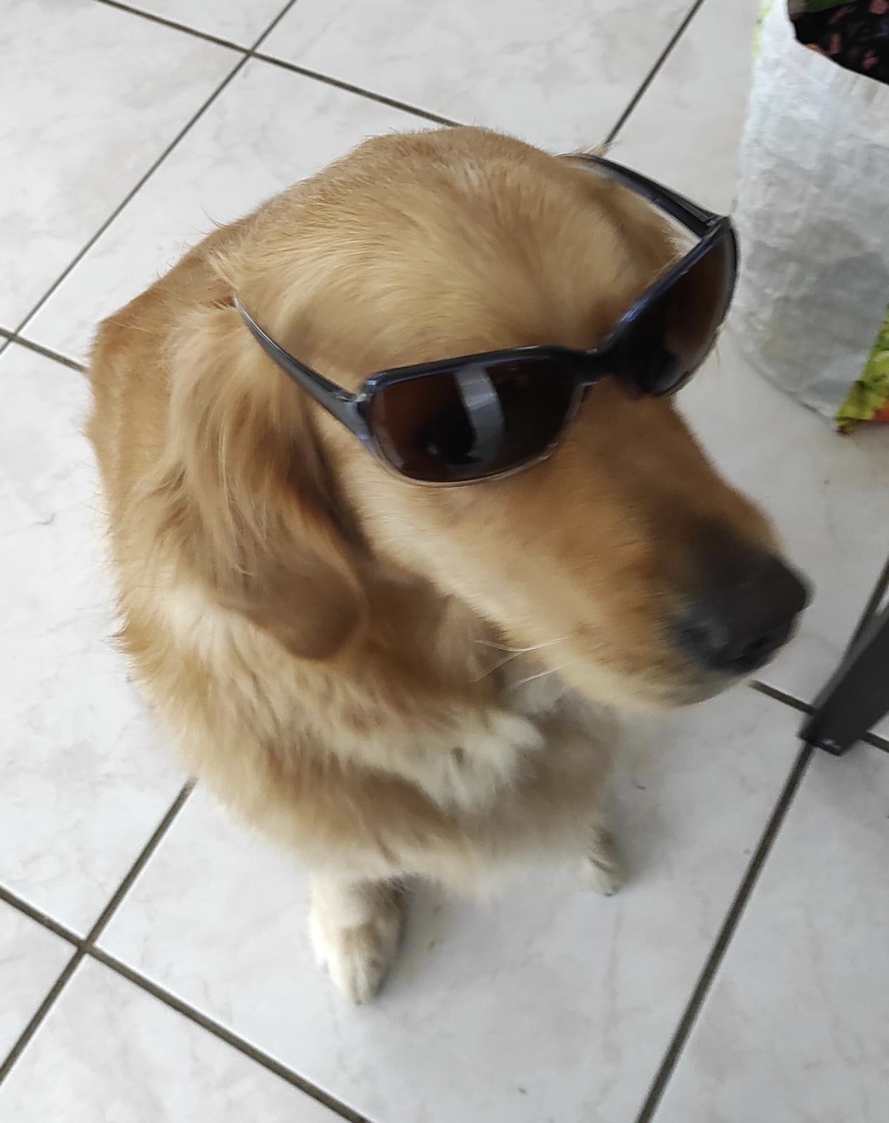 User profile picture