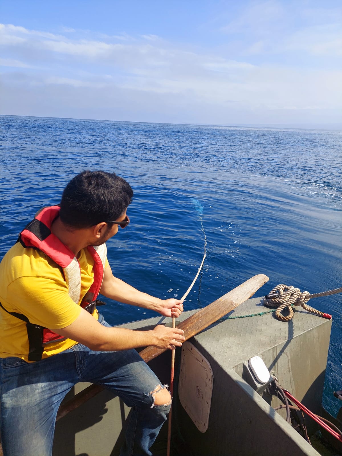 User profile picture