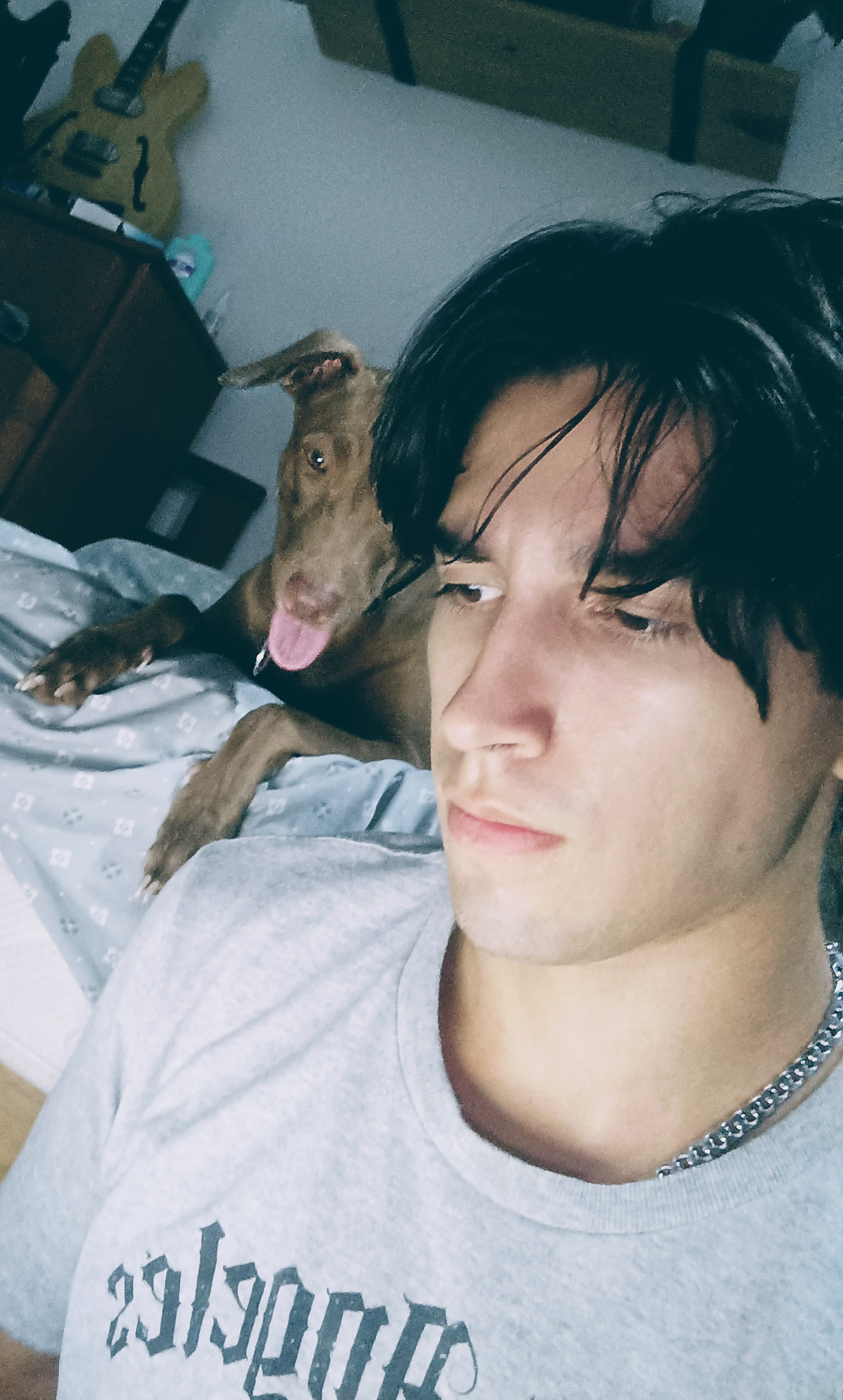 User profile picture