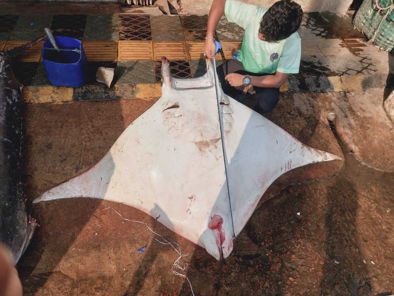 User profile picture