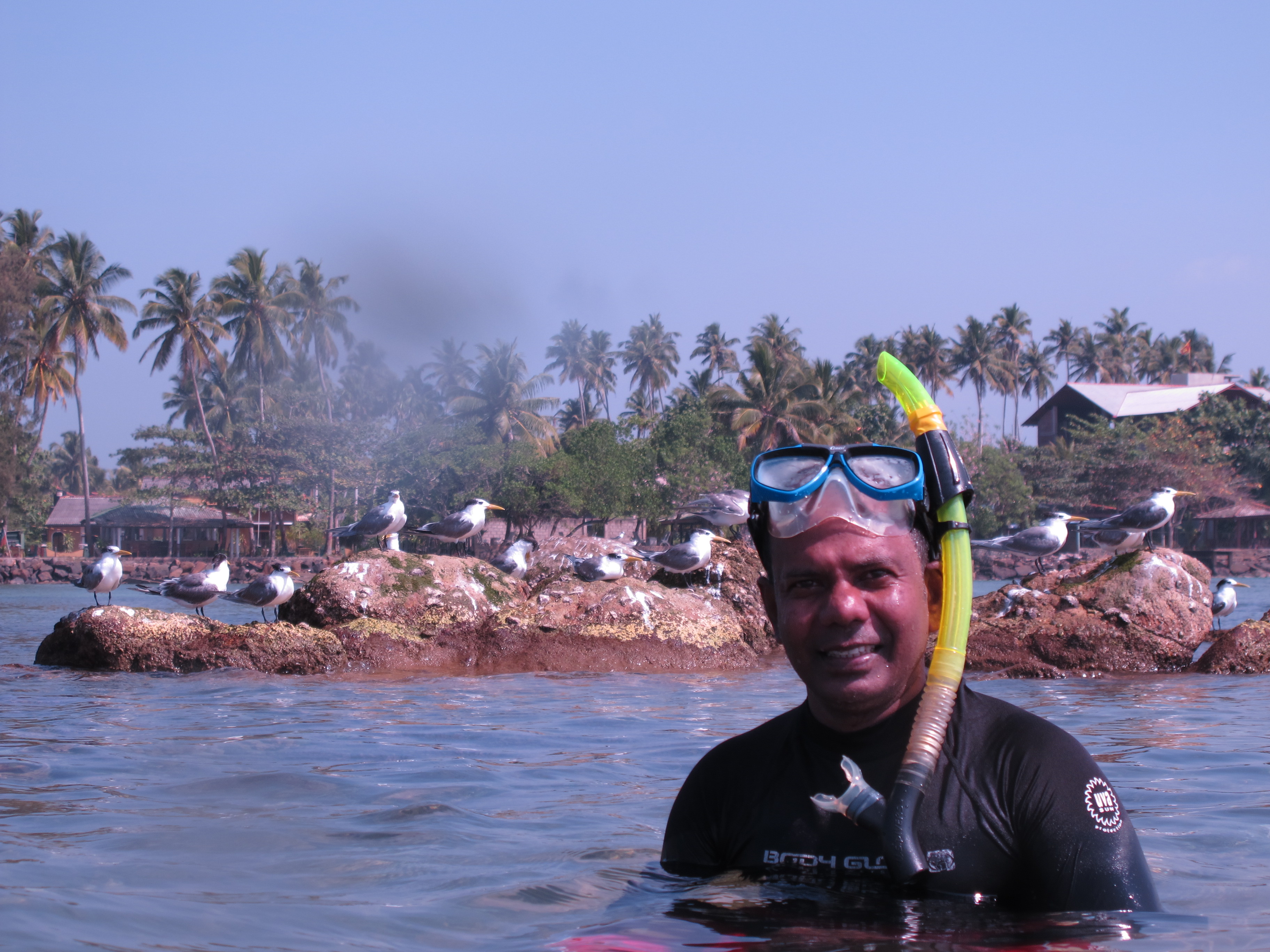 User profile picture