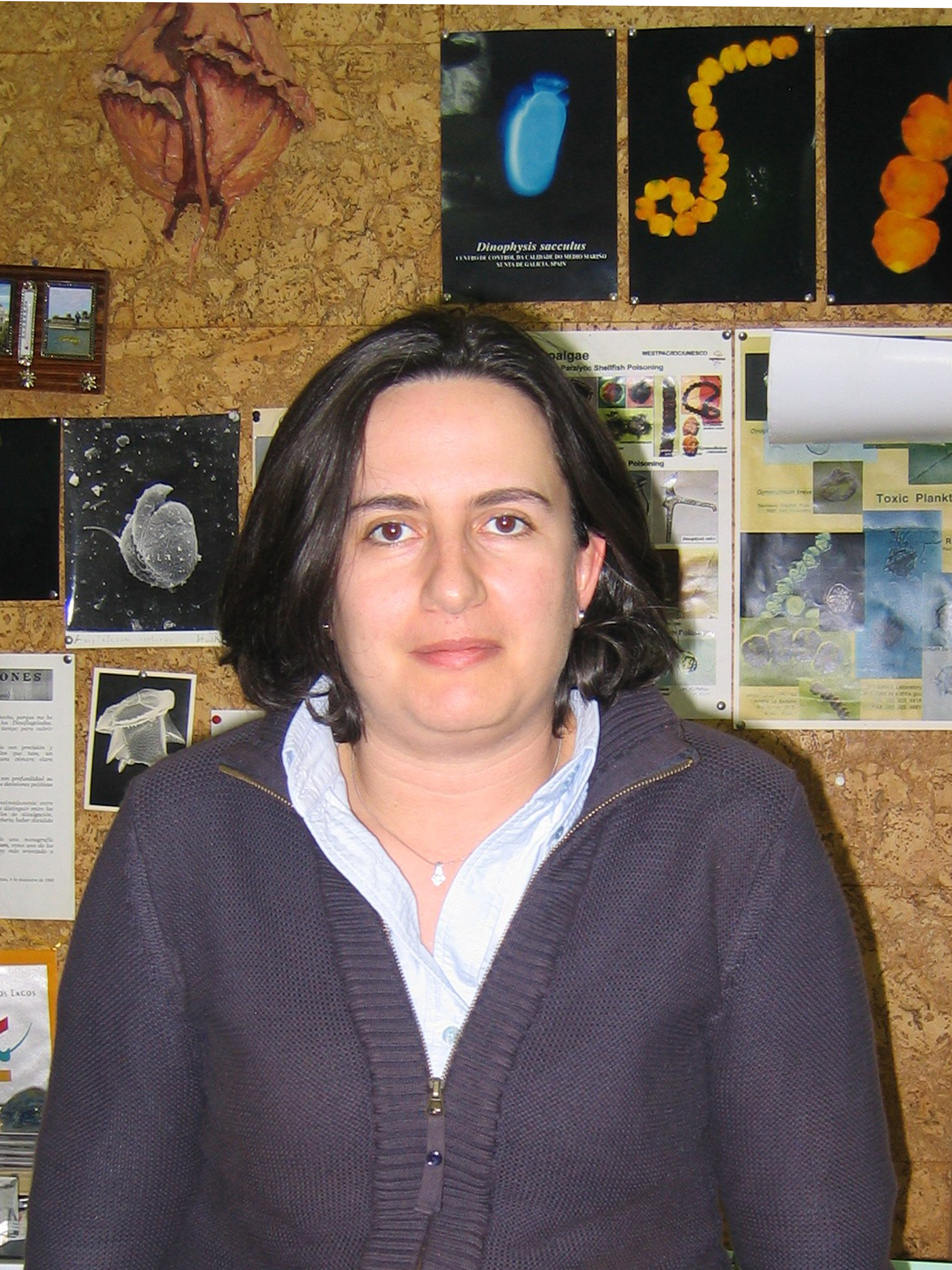 User profile picture